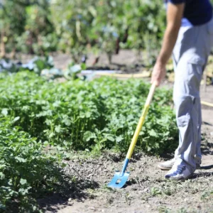 RATISSOIRE DE JARDIN NATUROVERT LEBORGNE – 467081 10